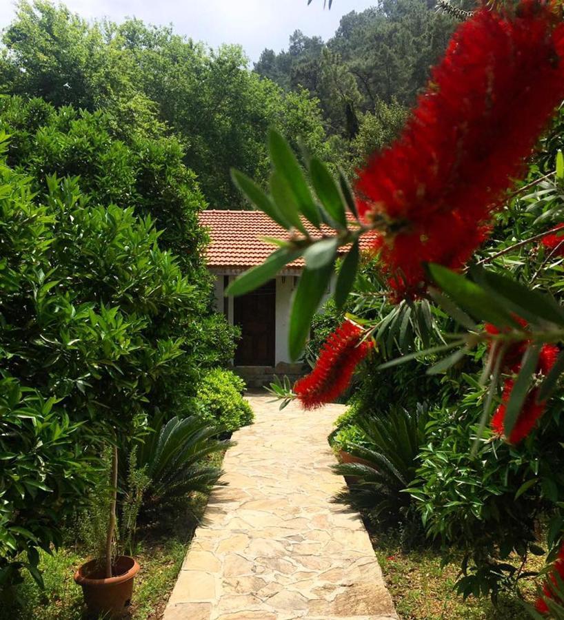 Dolunay Apart Hotel ชิลารึ ภายนอก รูปภาพ